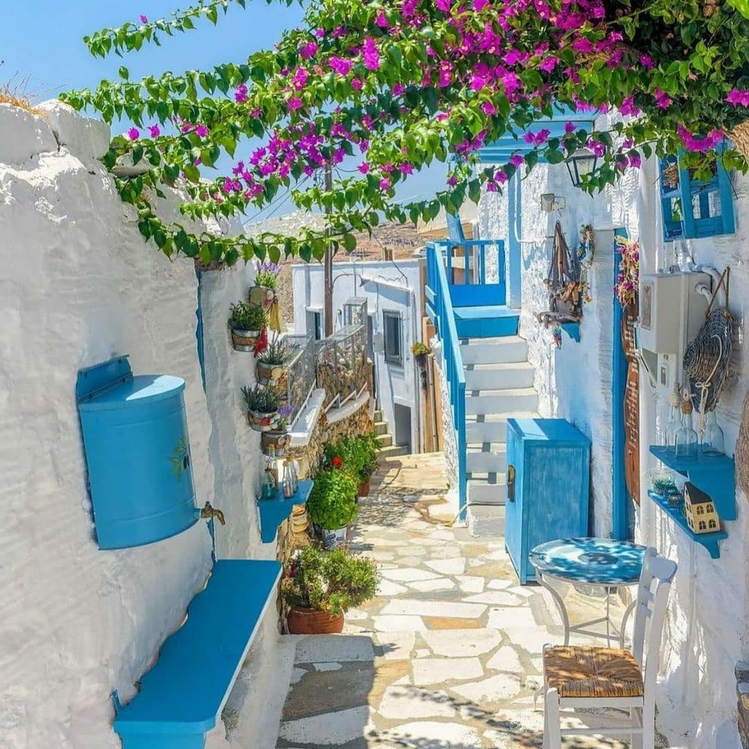  امشو یاروم دعوتیشه یکی ده وزرتکیشه